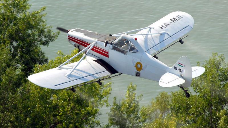 A Balaton partján a szúnyogok igazi rémálommá válnak, amikor megérkezik a nyár. Minden este, ahogy lemegy a nap, ezek a kis vérszívók gondoskodnak róla, hogy a pihenésünket egy kis extra izgalommal fűszerezzék. Az élmény, ahogy a szúnyogok csípései megzav