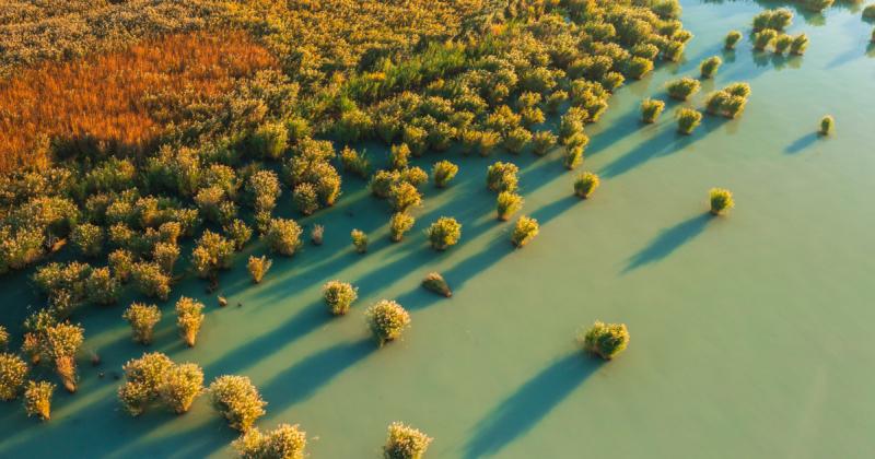 Káprázatos légi felvételek a Balaton rejtett szépségeiről: olyan érzés, mintha egy másik világban járnánk!