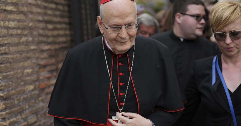 A magyar lakosság jelentős része arra a következtetésre jutott, hogy Erdő Péter lehet a következő pápa.