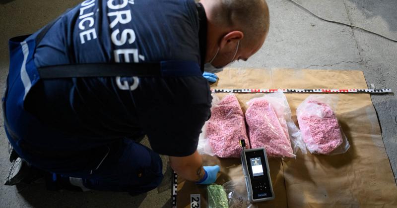 A magyar drogmaffia működésére hatalmas csapást mértek: 125 rendőr indított razziát, amely során 13 különböző helyszínen folytattak nyomozást, és 10 gyanúsítottat vettek őrizetbe.