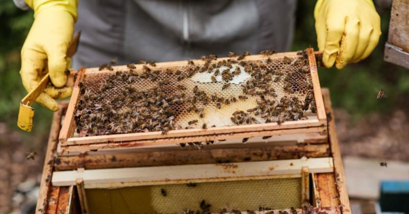Járványügyi helyzet miatt egy Pest vármegyei település ideiglenes zárlatot rendelt el.