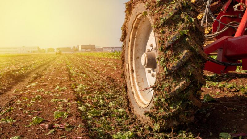Egyre több magyar gazdálkodó választja ezt a traktort, amely iránti kereslet folyamatosan növekszik. Az eladott példányok száma lenyűgöző, és a mezőgazdasági szektorban komoly figyelmet érdemel. Az Agrárszektor elemzése szerint a gép teljesítménye és megb