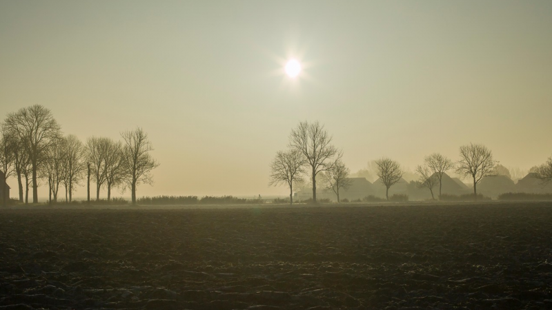 Időjárás-előrejelzés: A következő héten ködös és esős időszakok várhatóak, de sok helyen a nappali hőmérséklet továbbra is 16-20 fok között alakul.