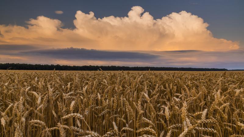 Magyarország két partnerével együtt jelentős lépéseket tehet a brüsszeli terv meghiúsítása érdekében.